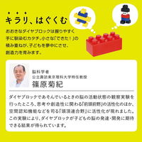 カワダ おおきなダイヤブロック ミッフィー ブロックあそび OD-05 1個