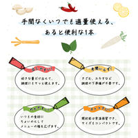 特選本香り生しょうが 40g  1セット（1個×10） ハウス食品