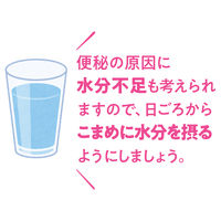 ビオフェルミン酸化マグネシウム便秘薬 360錠 大正製薬 便秘に伴う頭重・のぼせ・肌あれ・吹き出物の緩和【第3類医薬品】
