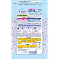 無香空間 特大 ほのかなせっけん 詰め替え用 消臭ビーズ 消臭剤 648g 1セット（1個×12） 玄関・部屋・トイレ用 小林製薬