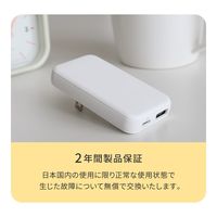 オウルテック 薄さ13mm 最大PD20W出力 GaN採用 AC充電器 OEC-APD20A1C1G-BK 1個