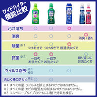 ワイドハイター ＰＲＯ プロ 粉末 本体 500g 1個 衣料用漂白剤 花王