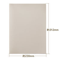 キングジム レシート/領収書スキャンホルダー ベージュ 790ーBE 1セット（1枚×30）