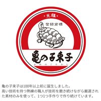 （季節・数量限定）亀の子スポンジ スタンダード 角型 キッチンスポンジ 抗菌・防カビ加工 ラベンダー 1個 亀の子束子西尾商店