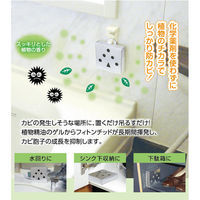 カビコナイ 1セット（1箱（6個入）×3） タジマヤ