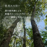 N organic（エヌオーガニック） Basic バランシング ローション 100ml シロク