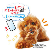 ペティオ かわいくたべちゃう！デンタルファイバースティック ササミ 7本入 1袋 犬用 おやつ