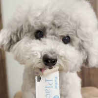 ペティオ プラクト 総合栄養食 とろーりごはん 野菜味 無添加 国産 8本入（80g）1袋 犬用 おやつ