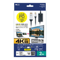 ナカバヤシ TypeーC ー HDMI 変換ケーブル 2m 4K60Hz/PD給電対応 USD-P4K20BK 1個