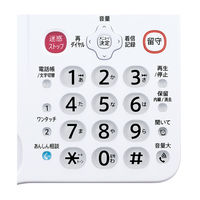 SHARP コードレス電話機あんしん機能強化モデルJD-AT91CW[子機2台]