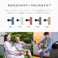 SIXPAD（シックスパッド） Power Gun Slim シルバー MTG