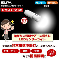 朝日電器 LEDセンサー付ライト PM-L259W 1個