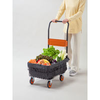 ファミリー・ライフ 折りたたみ式バスケット台車 深型 専用カバー付き 04194 1個