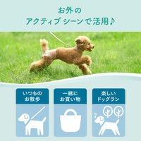 エリエール キミおもい アクティブウェア M～L パンツ 小～中型犬（女の子男の子共用タイプ）26枚入 1袋 大王製紙