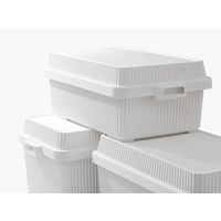 ライクイット スタックアップコンテナー53（インナーボックスセット） ベージュ STC-01S 1個