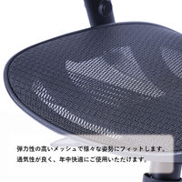 【車上渡し】Ergohuman EJ-ToBe2 KM-11 ブラック 400727 1脚（直送品）