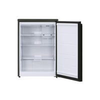 アイリスオーヤマ 奥行スリム冷凍庫 66L IUSN-7A-B 1台