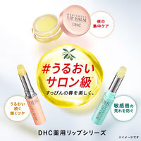 DHC 薬用リップバーム ×2個 無香料 保湿リップクリーム 高保湿 夜パック ディーエイチシー