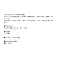 クレンジングリサーチ ウォッシュクレンジング N 120g 2個 メイク落とし 洗顔 スクラブ BCL カンパニー