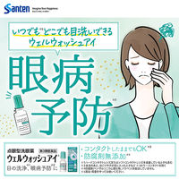 ウェルウォッシュ アイa 10ml 参天製薬 防腐剤無添加  洗眼薬 目洗い 目の不快感【第3類医薬品】