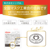 STYLEマスク バイカラー ベージュ×バーガンディ　シンズ 個包装 カラーマスク　使い捨て　不織布　3D　ダイヤモンド型　立体　1袋（5枚入）