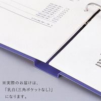 リヒトラブ リングファイル A4タテ 背幅36mm 乳白 F877U-1 1セット（30冊入）
