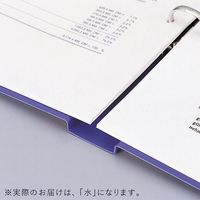 リヒトラブ リングファイル A4タテ 背幅27mm 水 F867U-14 1セット（30冊入）