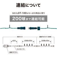 タカショー ローボルト LEDストレート 100球 大人マルチ LGT-100AM 1個