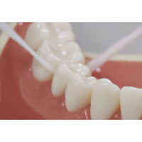 DENTALPRO（デンタルプロ） ふんわりフロス ワックスあり スポンジタイプ 50m 1セット（3個） デンタルプロ デンタルフロス