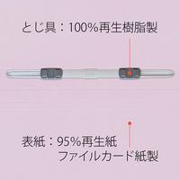 プラス フラットF樹脂 021N A4S VL NO.021N 1セット(10冊)（直送品）