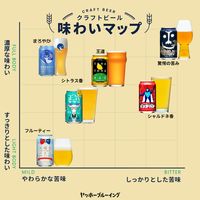 インドの青鬼　350ml×24缶【ビール】