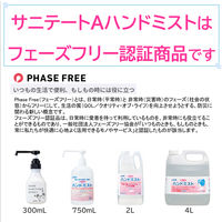 サニテート Aハンドミスト ミッフィー 消毒液 手指 アルコール消毒液 本体 300mL 1本 ライオン 業務用