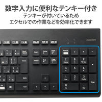 エレコム ワイヤレスキーボード 無線 Bluetooth 洗える IPX5 メンブレン 黒 TK-WS03BMKBK 1個（直送品）
