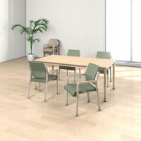 藤沢工業 ナチュラル ウッドチェア ビスケット 福祉用イス 介護用イス スタッキング椅子  木製イス 木製チェア 天然木 ベージュ 1脚