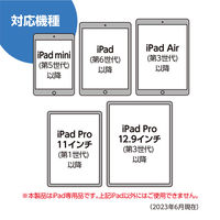 ナカバヤシ iPad専用タッチペン 高感度タイプ 傾きセンサー搭載 ホワイト STP-A02/WH 1本