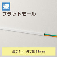 配線カバー 壁用 モール ( 長さ1m × 幅21mm ) フラット ホワイト LD-GAF2MWH エレコム 1個（直送品）