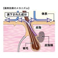 ドギーマン 薬用ペッツテクト+ フォースガード 中型犬用 3本入 3個