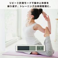 キングジム ビジュアルバータイマー 白 VBT10-W 1個