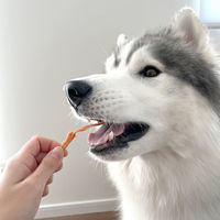 ペティオ 素材そのまま 完全無添加 かむコラーゲン チキンアキレス ハード 50g 1セット（1袋×3）犬用 おやつ