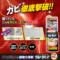ウルトラハードクリーナー カビ用 本体 200g リンレイ　1セット（1本×3）