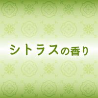 トイレのニオイがなくなるスプレー トイレ用 消臭スプレー 芳香剤 250回分 シトラスの香り 52ml 1本 大日本除虫菊 限定