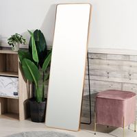 武田コーポレーション スタンドミラーワイドGD A3-SM150GD 1箱(1個入)（直送品）