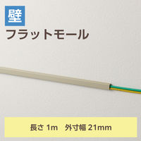 配線カバー 壁用 モール ( 長さ1m × 幅21mm ) フラット ベージュ LD-GAF2M エレコム 1個（直送品）