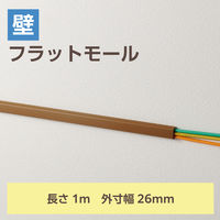 配線カバー 壁用 モール ( 長さ1m × 幅26mm ) フラット ブラウン LD-GAF3MBR エレコム 1個（直送品）
