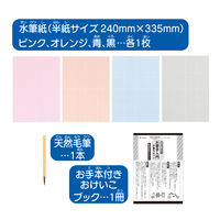 パイロット スイスイおえかき for Study 何回も書ける！お習字入門水書きセット 水で書ける習字 習字 1823115 1個