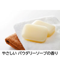 ナノックス ワン（NANOX one）PRO プロ 業務用 洗濯洗剤 濃縮 液体 詰め替え バックインボックス 10kg 1個 ライオン