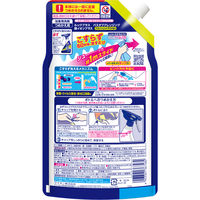 ルックプラス バスタブクレンジング 銀イオンプラス スカッシュシトラス 詰め替え 大型 800ml 1セット（1個×3） ライオン