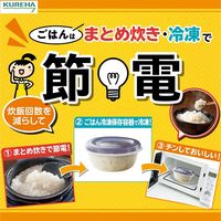 キチントさん ごはん 冷凍保存容器 フタを閉めたままレンジOK 小盛 100g 1セット（1個（3個入）×5）クレハ