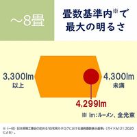 日立 [まなびのあかり]搭載タイプ 8畳 LEC-AH802TM 1台