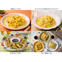 ハウス食品 味付カレーパウダー バーモントカレー味 3個　カレースパイス